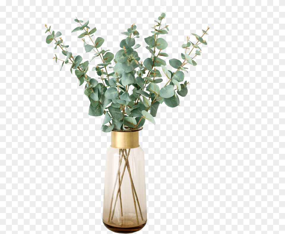 Mein Simulation Single Pole Kleich Eucalyptus Leaf Houseplant, Flower, Flower Arrangement, Jar, Plant Png Image