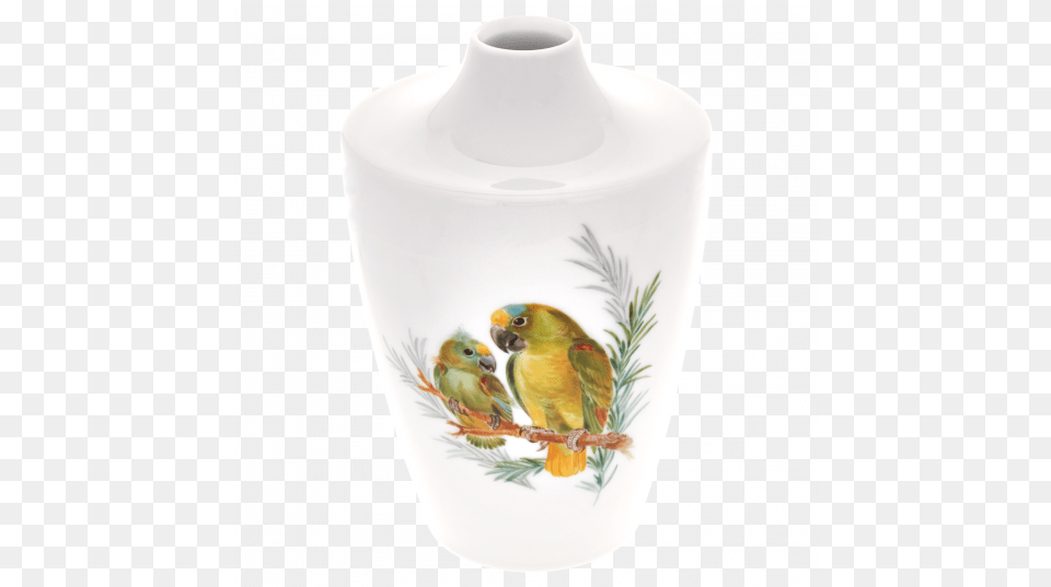 Meissen Cosmopolitan Bird Painting Serveware, Art, Jar, Porcelain, Pottery Free Png Download