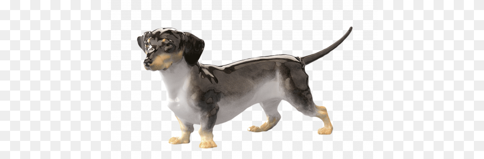 Meissen Single Figurine Dachshund Dachshund, Animal, Canine, Dog, Mammal Png