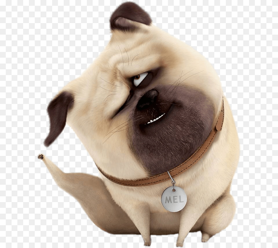 Mel Scratching Mel In Secret Life Of Pets, Animal, Canine, Dog, Mammal Free Transparent Png