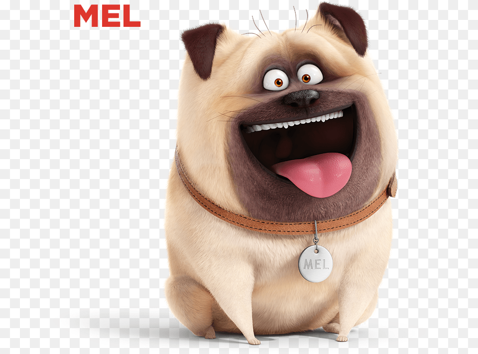 Mel The Secret Life Of Pets, Animal, Canine, Dog, Mammal Free Transparent Png