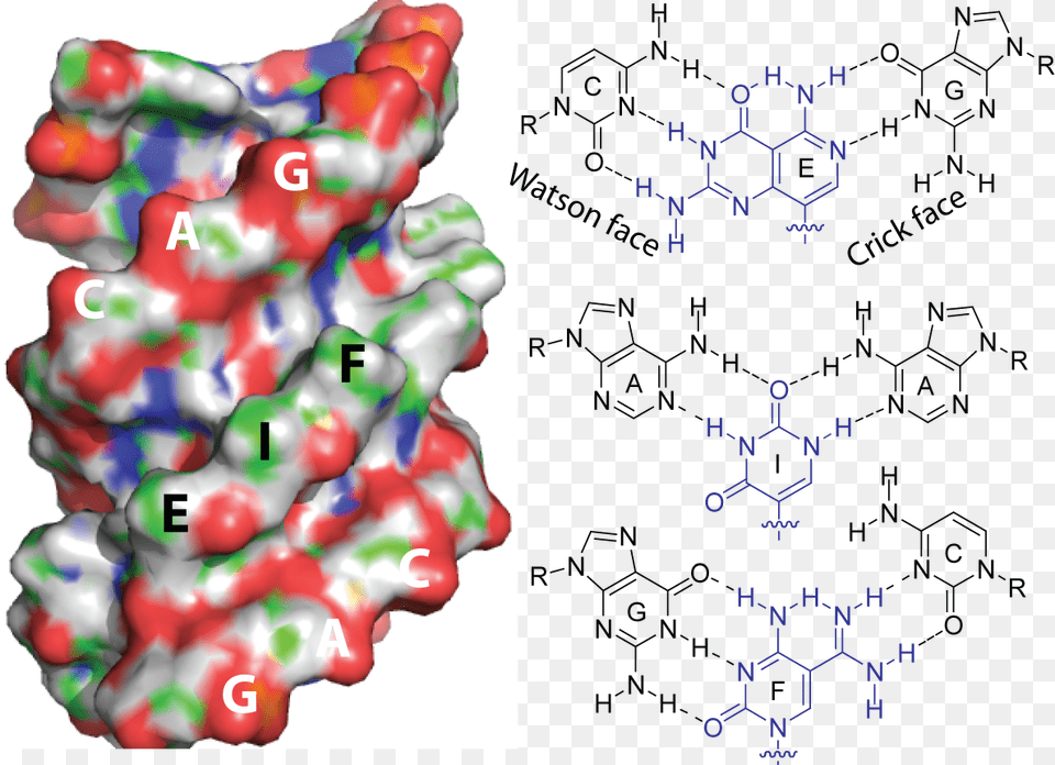 Melamine Cyanuric Acid Complex, Art, Baby, Person, Paintball Free Transparent Png