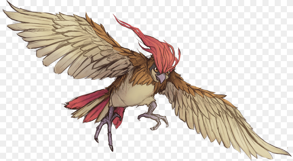 Melee Weapon Attack Raven, Animal, Bird Png Image