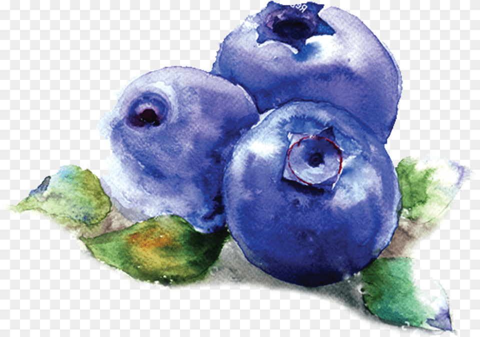 Melhore A Sua E Mude O Seu Estilo De Vida Blueberry, Berry, Food, Fruit, Plant Free Png Download