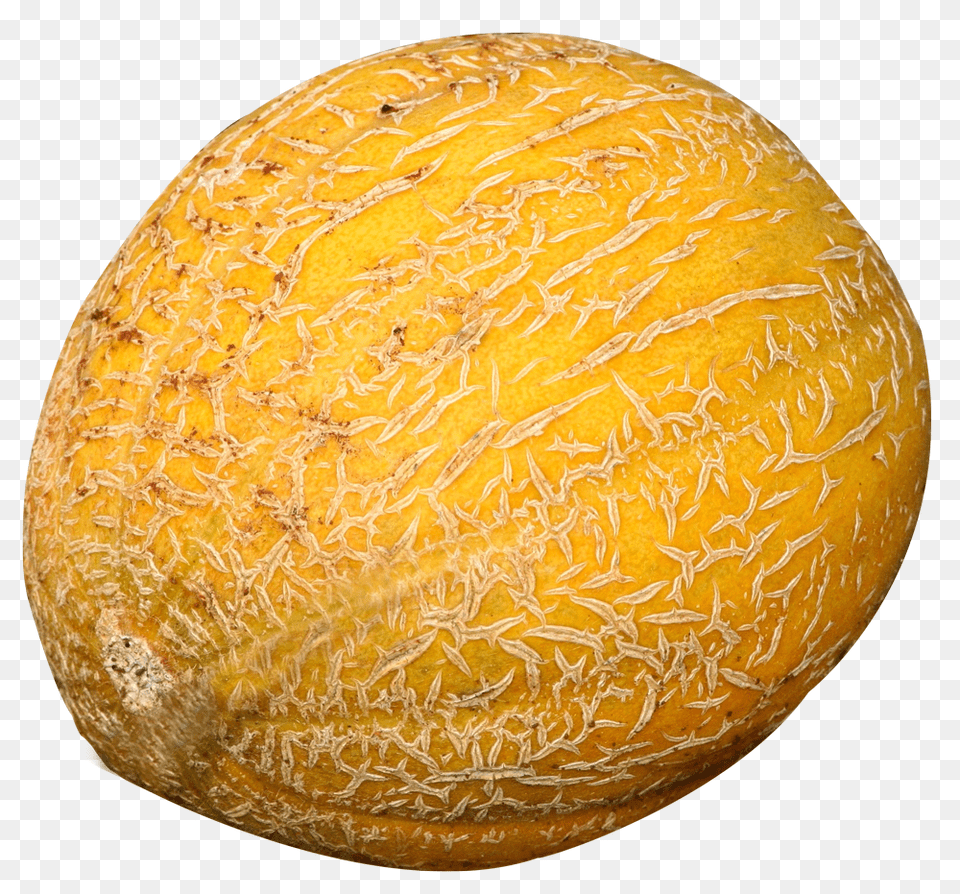 Melon, Bread, Food, Fruit, Plant Png