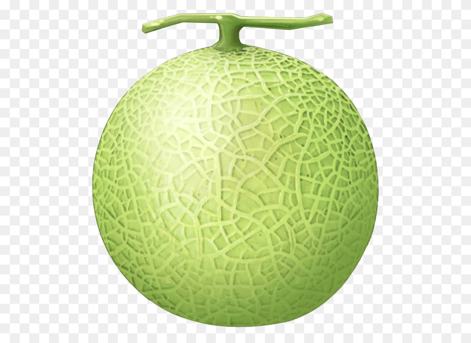 Melon, Food, Fruit, Plant, Produce Png Image