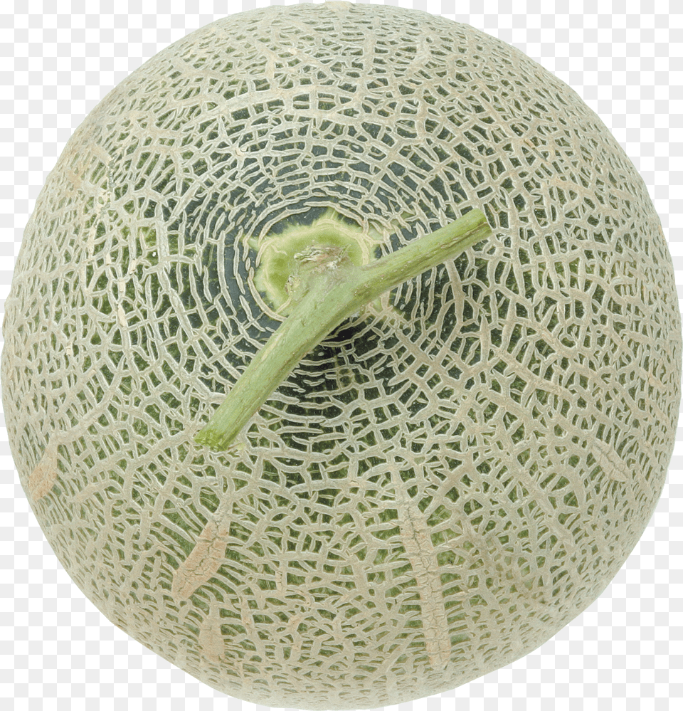 Melon, Bottle Png Image