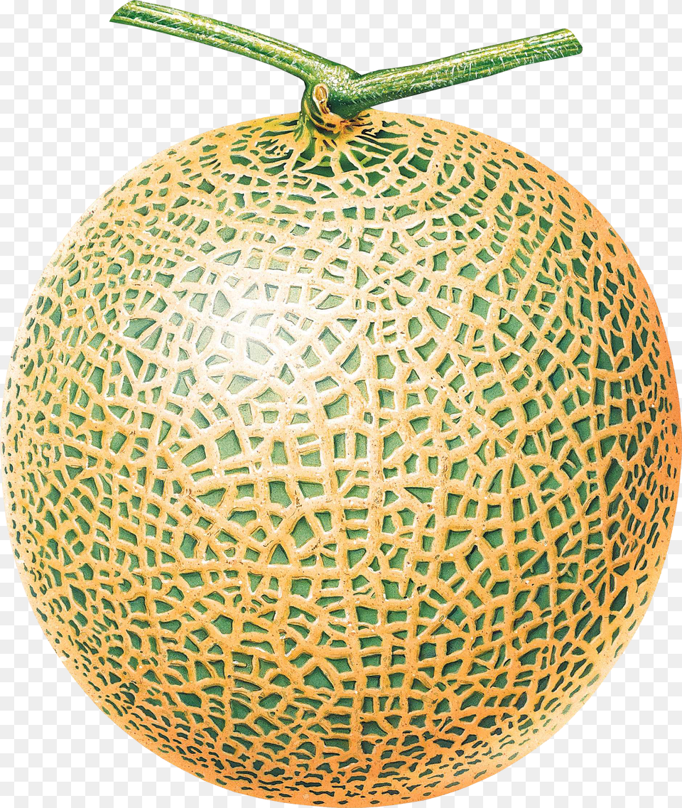 Melon Png