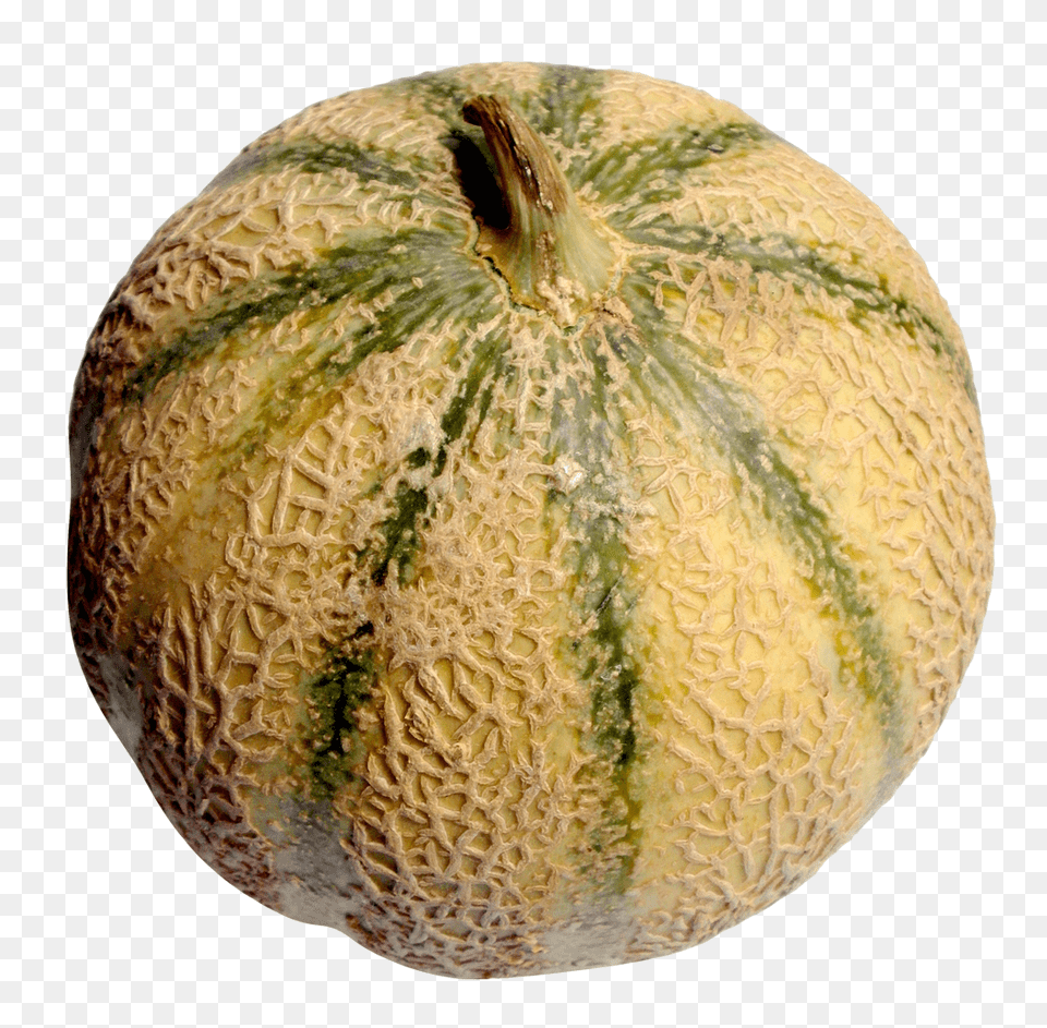 Melon, Food, Fruit, Plant, Produce Png