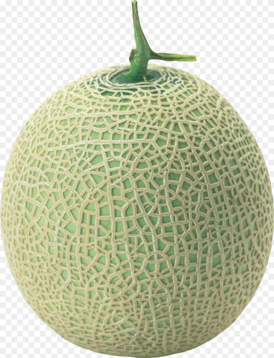 Melon, Person, People, Adult, Publication Png