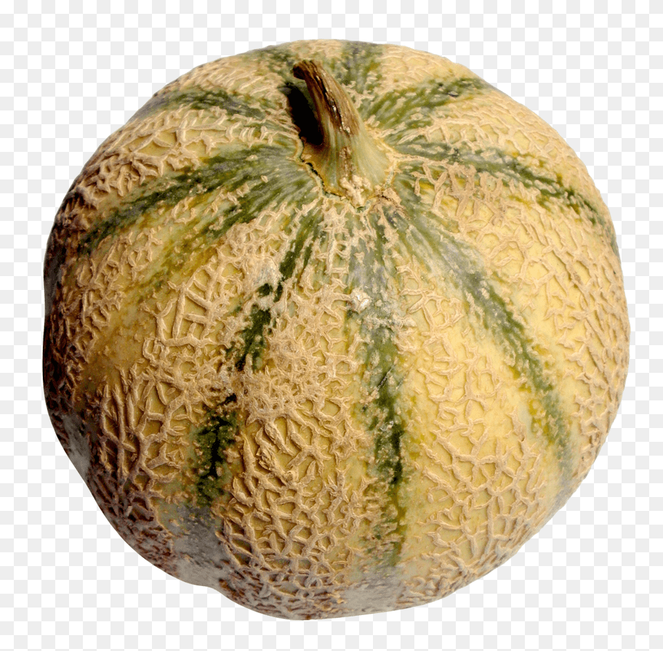 Melon, Food, Fruit, Plant, Produce Free Transparent Png