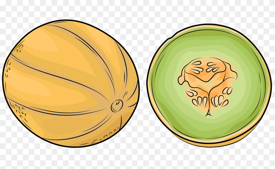 Melon And Half Clipart, Food, Fruit, Plant, Produce Free Transparent Png