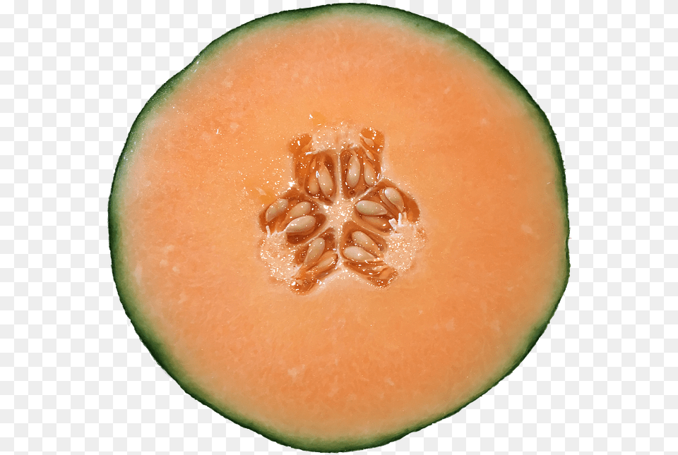 Melon Cantaloupe Orange On Pixabay Animation, Food, Fruit, Plant, Produce Free Png