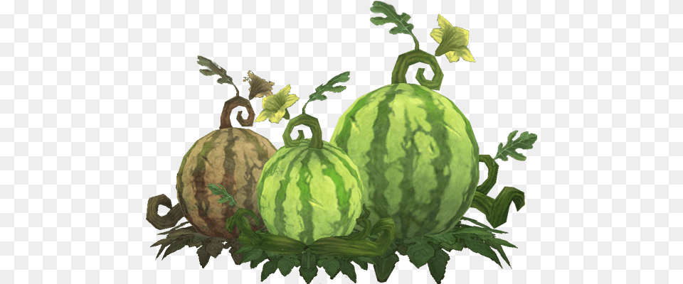 Melon Clipart Tree, Food, Fruit, Plant, Produce Free Png