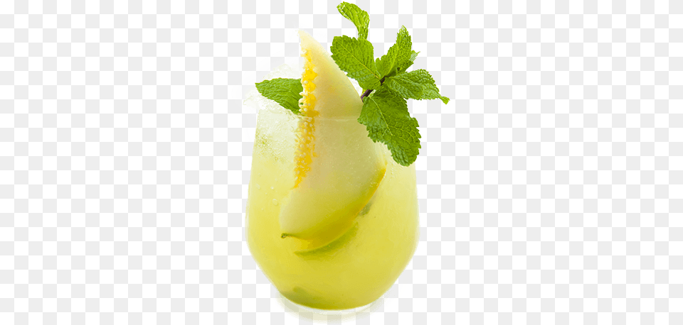 Melon Cocktail Mai Tai, Plant, Herbs, Mint, Mojito Png