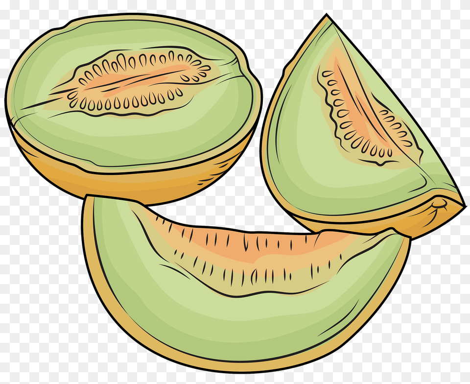 Melon Cut Into Pieces Clipart, Food, Fruit, Plant, Produce Free Transparent Png