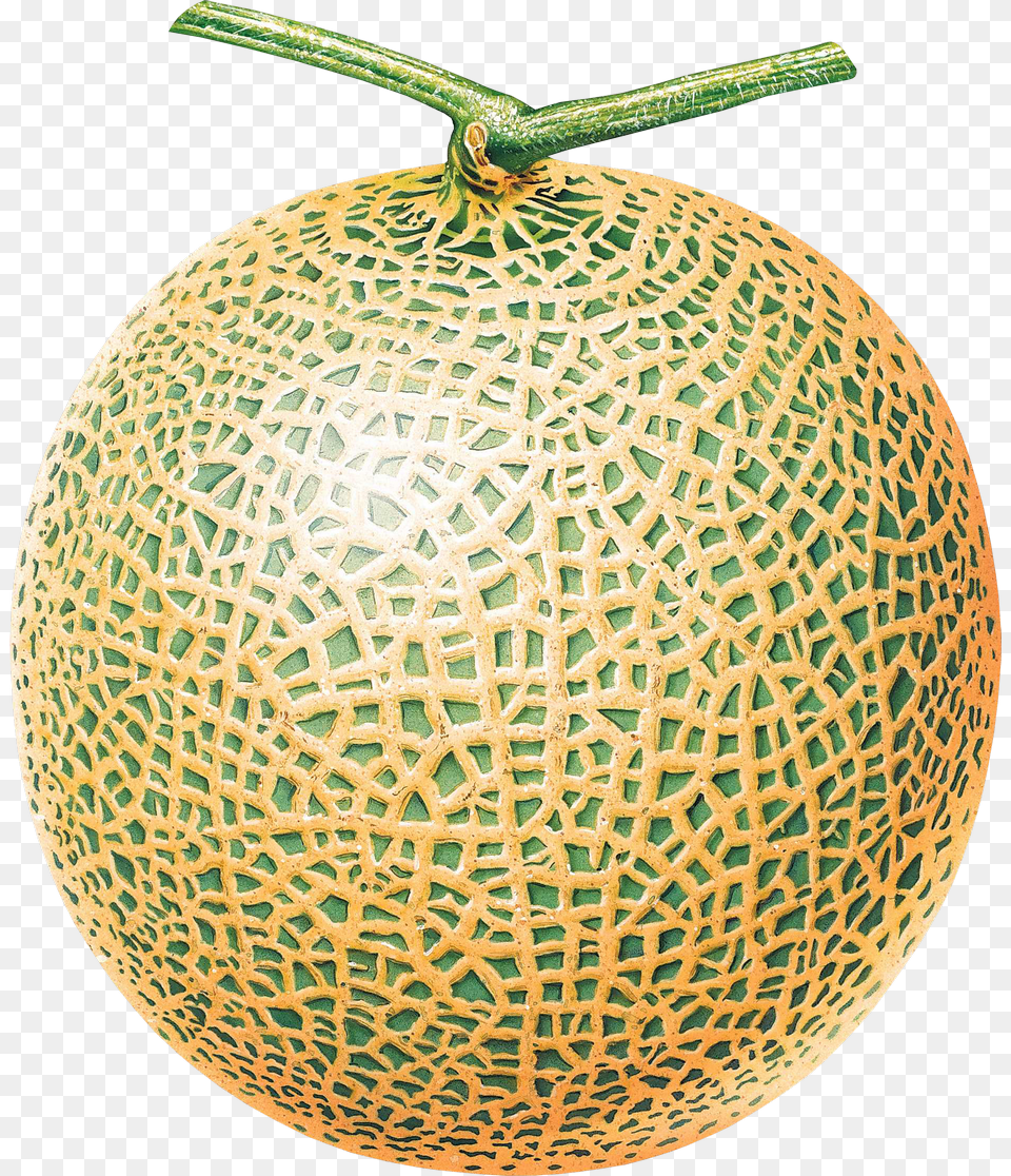 Melon Melon, Food, Fruit, Plant, Produce Png Image
