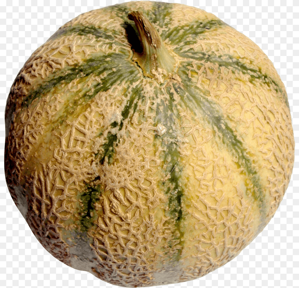 Melon Melon, Food, Fruit, Plant, Produce Png Image