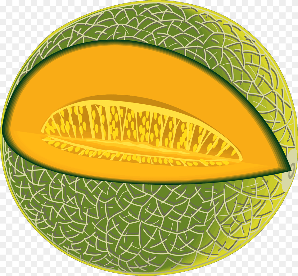 Melon Vector, Food, Fruit, Plant, Produce Free Png Download