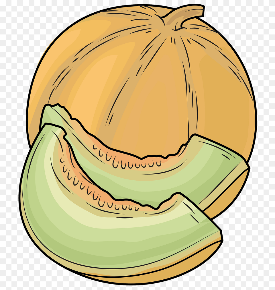 Melons Clipart, Food, Fruit, Plant, Produce Png