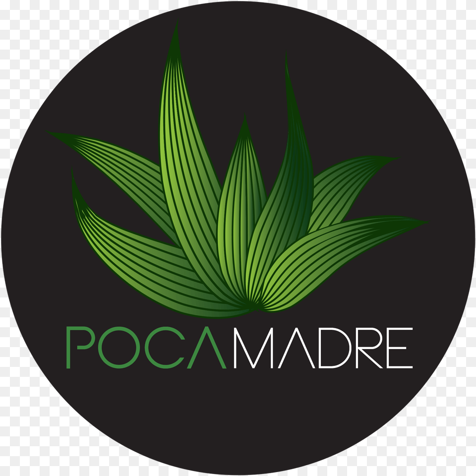 Member Circle, Green, Leaf, Logo, Plant Png Image