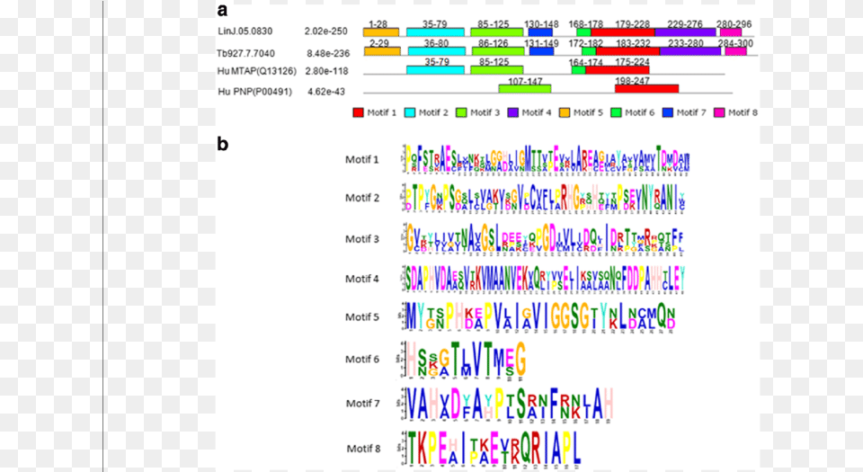 Meme Models Of The Primary Sequences Of Limtap Tbmtap Protein, Text, File Free Transparent Png