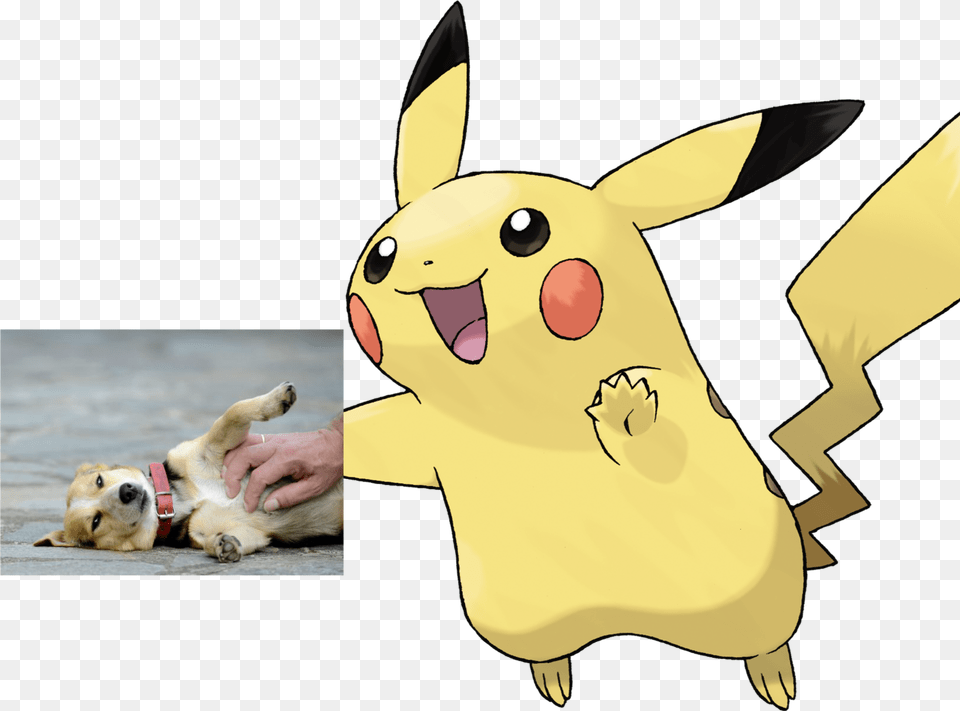 Memedogs Being Pet On This Reddit Can39t Say I39m Mad Sexy Pokemon, Animal, Canine, Dog, Mammal Free Png Download