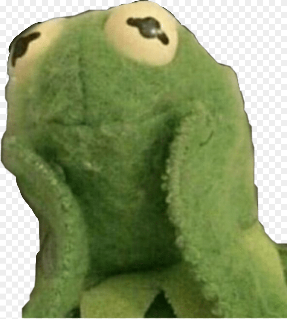 Memes Kermit Kermit The Frog Wholesome, Amphibian, Animal, Wildlife, Bear Png Image