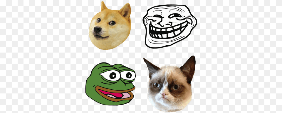 Memes Transparent Images 9gag Troll Face, Animal, Canine, Dog, Mammal Free Png