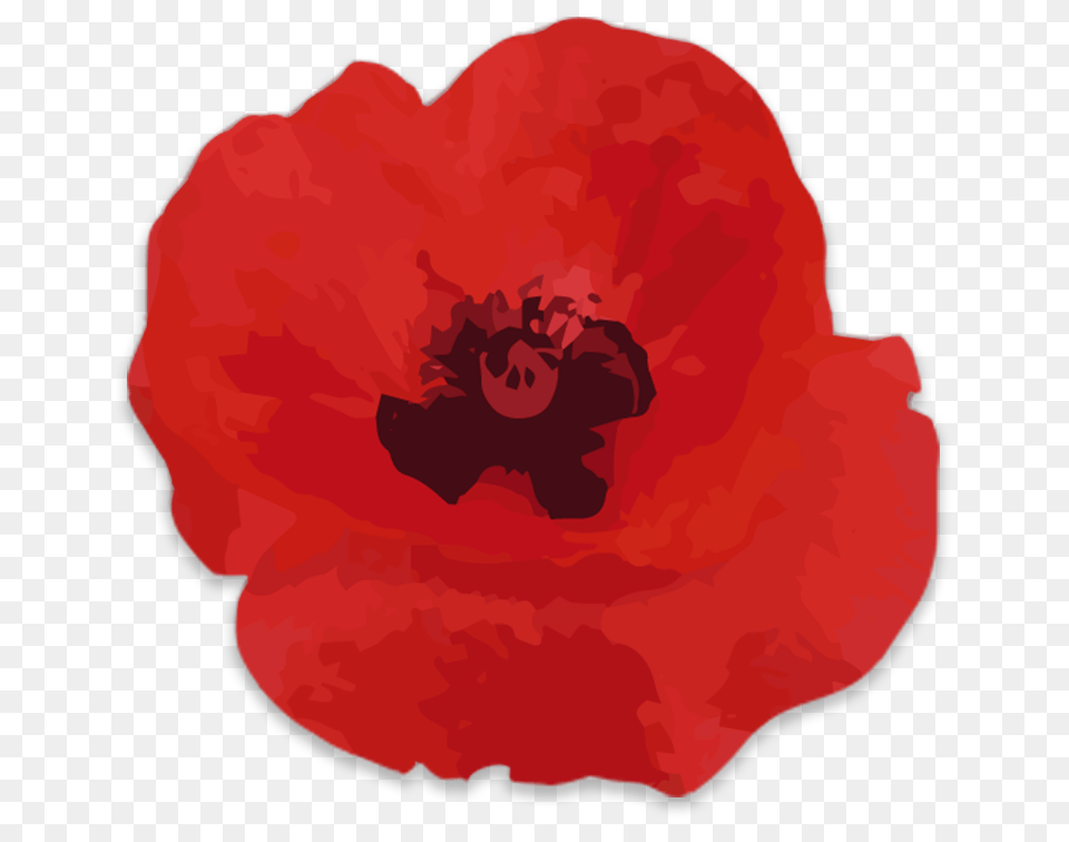 Memorial Day Poppy Wall, Flower, Petal, Plant, Rose Png Image