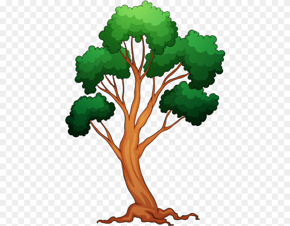 Memories Clipart Colorful Tree Old Tree Clip Art Oak Trees Coloring Book, Plant, Vegetation, Painting Png Image