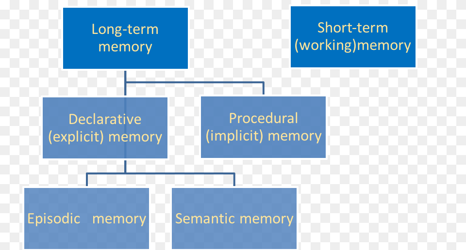 Memory Chart National Geographic Learning In Focus, Diagram, Uml Diagram Free Transparent Png
