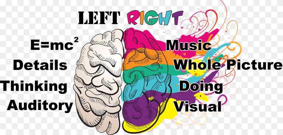 Memory Clipart Musical Brain Brain Art Creativity, Advertisement, Person, Face, Head Png