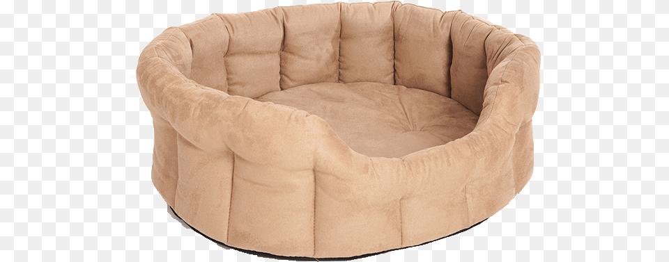 Memory Foam Dog Beds At Chelsea Dogs Pet Bed For Human, Couch, Cushion, Furniture, Home Decor Free Png Download