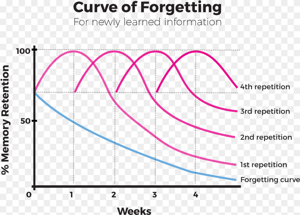 Memory Retention Graph, Chart, Plot, Light Free Png