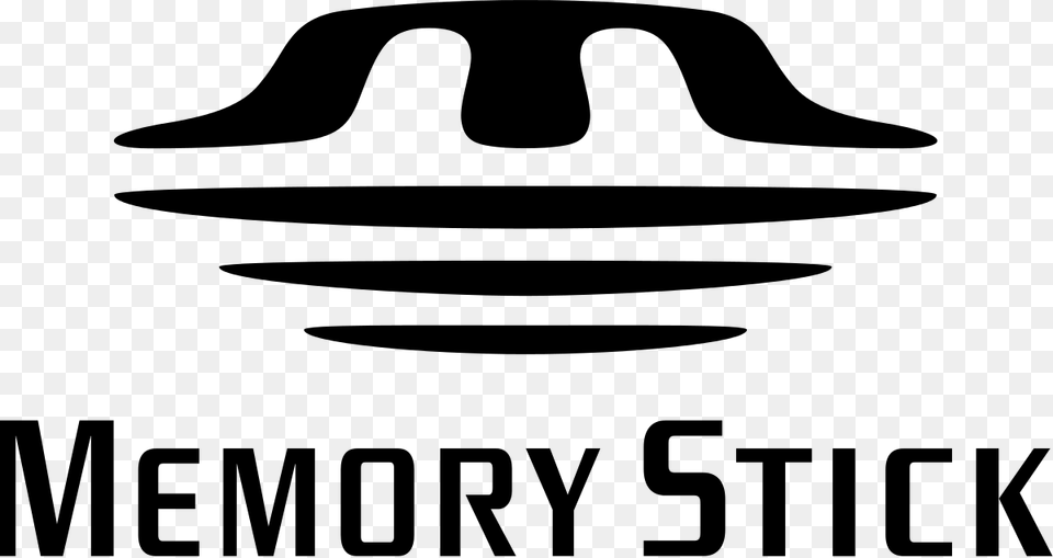 Memory Stick Pro Duo Logo, Gray Png Image