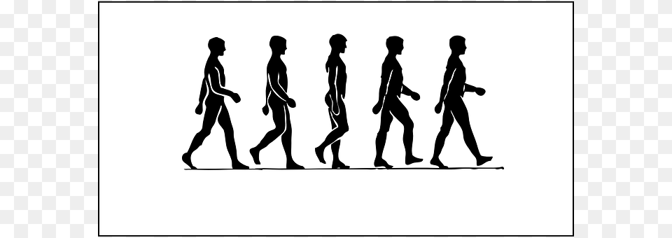 Men Walking, Silhouette, Person, Adult Free Transparent Png