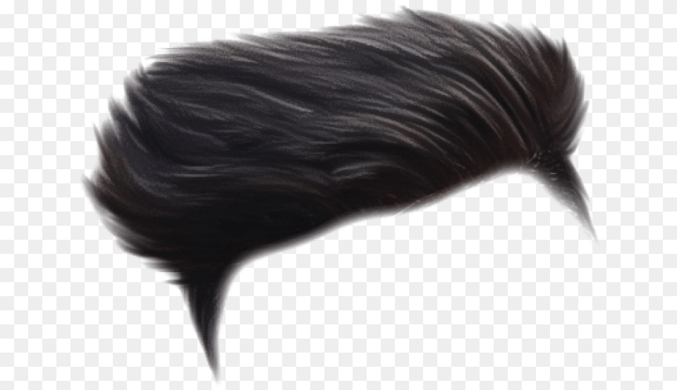 Men Hair Download Hair Hd, Animal, Beak, Bird, Adult Free Transparent Png