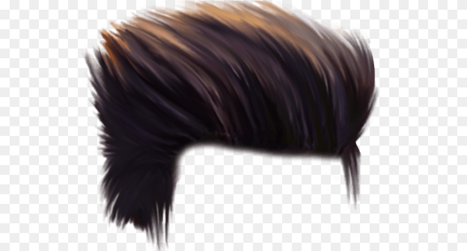 Men Hair Image Arts Cb Hair Hd, Person, Animal, Hog, Mammal Free Png