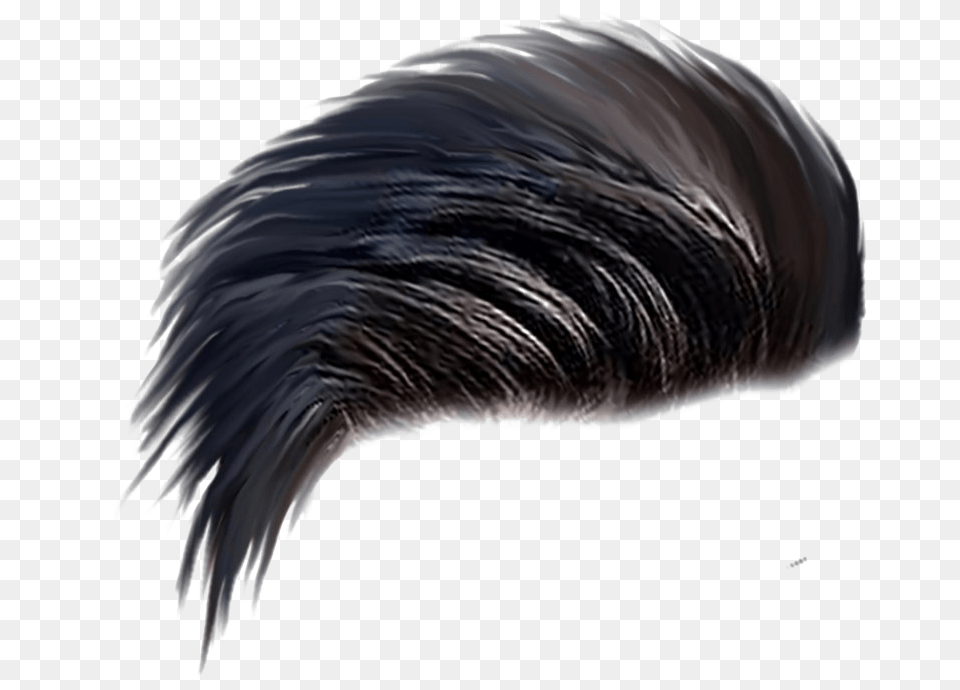 Men Hair Image Hair, Adult, Female, Person, Woman Free Transparent Png