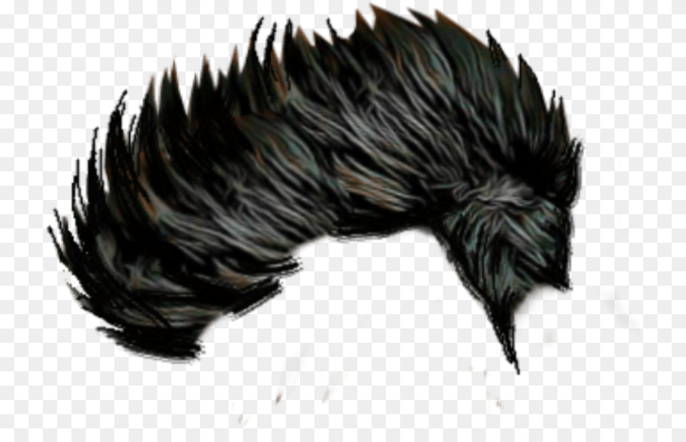 Men Hair Image Hair For Picsart, Adult, Male, Man, Person Free Png Download