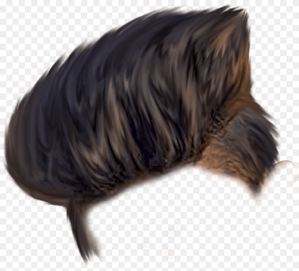 Men Hair Transparent Boy Hair Style, Mammal, Animal, Boar, Wildlife Png Image