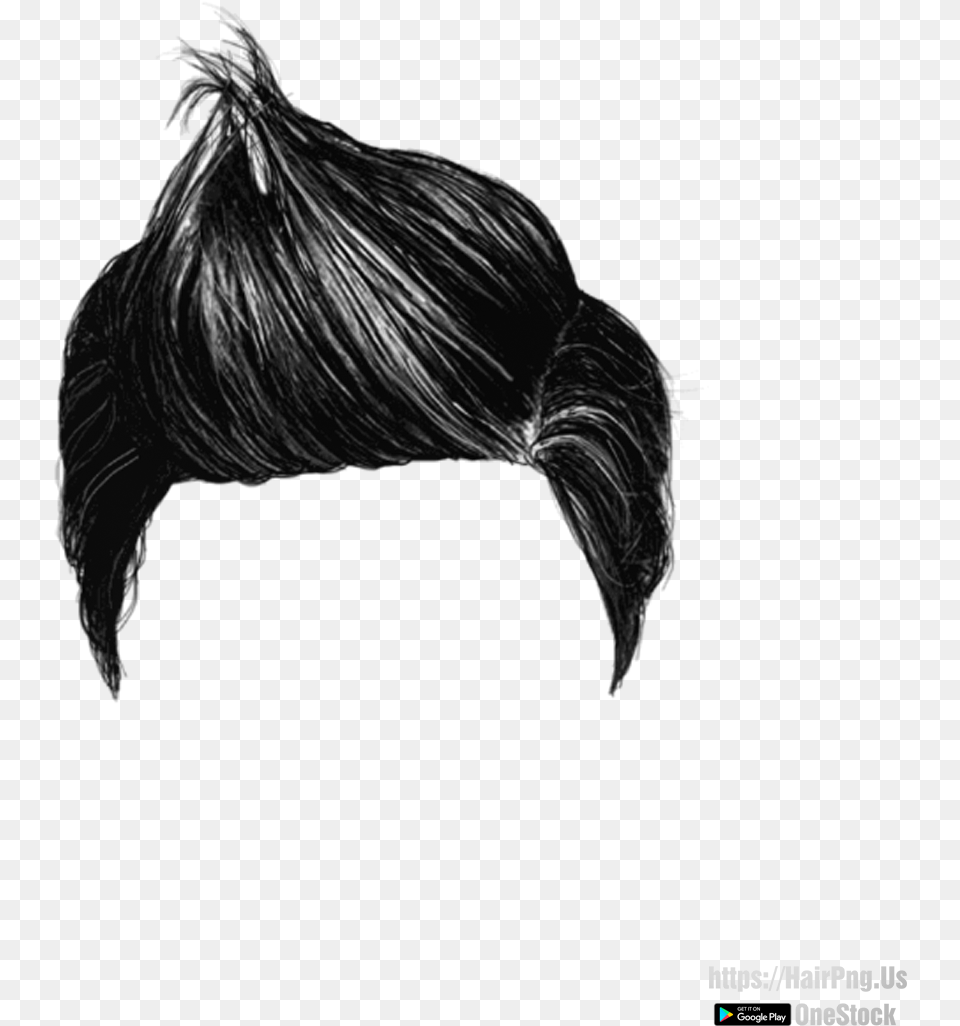 Men Hair Style Photoshop Download Hair Style Men, Adult, Female, Person, Woman Png Image