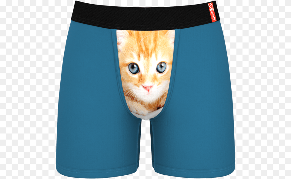 Men S Cat Ball Hammock Boxer Briefs, Clothing, Shorts, Animal, Mammal Free Transparent Png