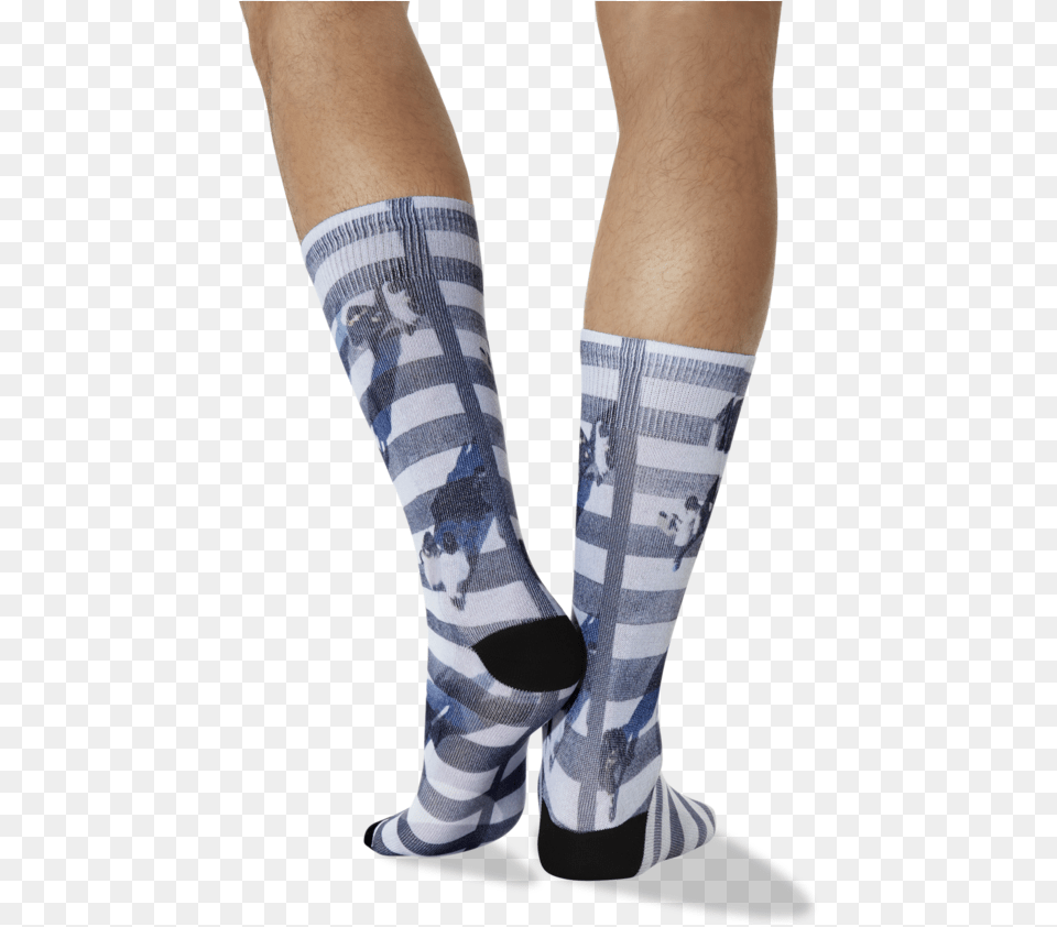 Men S Crosswalk Tube Socks In Black Whiteclass Sock, Clothing, Hosiery, Person Free Png