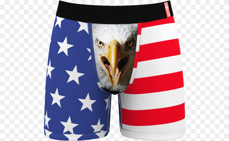 Men S Eagle Flag Ball Hammock Boxer Briefs Shinesty Eagle Underwear, Clothing, Shorts, Animal, Bird Free Transparent Png