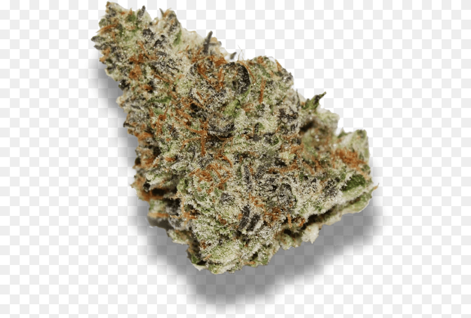 Mendo Breath Wifi Og Weed Strain, Rock, Plant Free Png Download