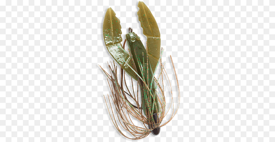 Mendota Rig Skirted Craw Orchid, Chandelier, Lamp, Leaf, Plant Free Transparent Png