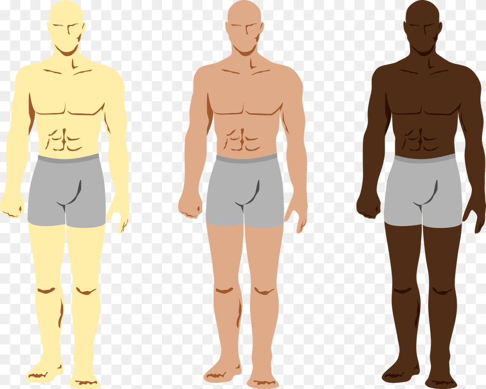 Mens Body Clip Art Download Areas To Spray Cologne, Shorts, Chart, Clothing, Plot Png