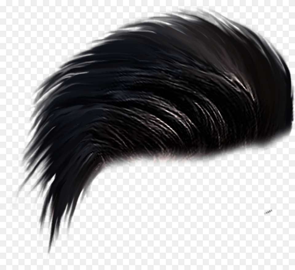 Mens Hair For Editing Ultra Hd Stickers And Hair Man, Adult, Female, Person, Woman Free Transparent Png